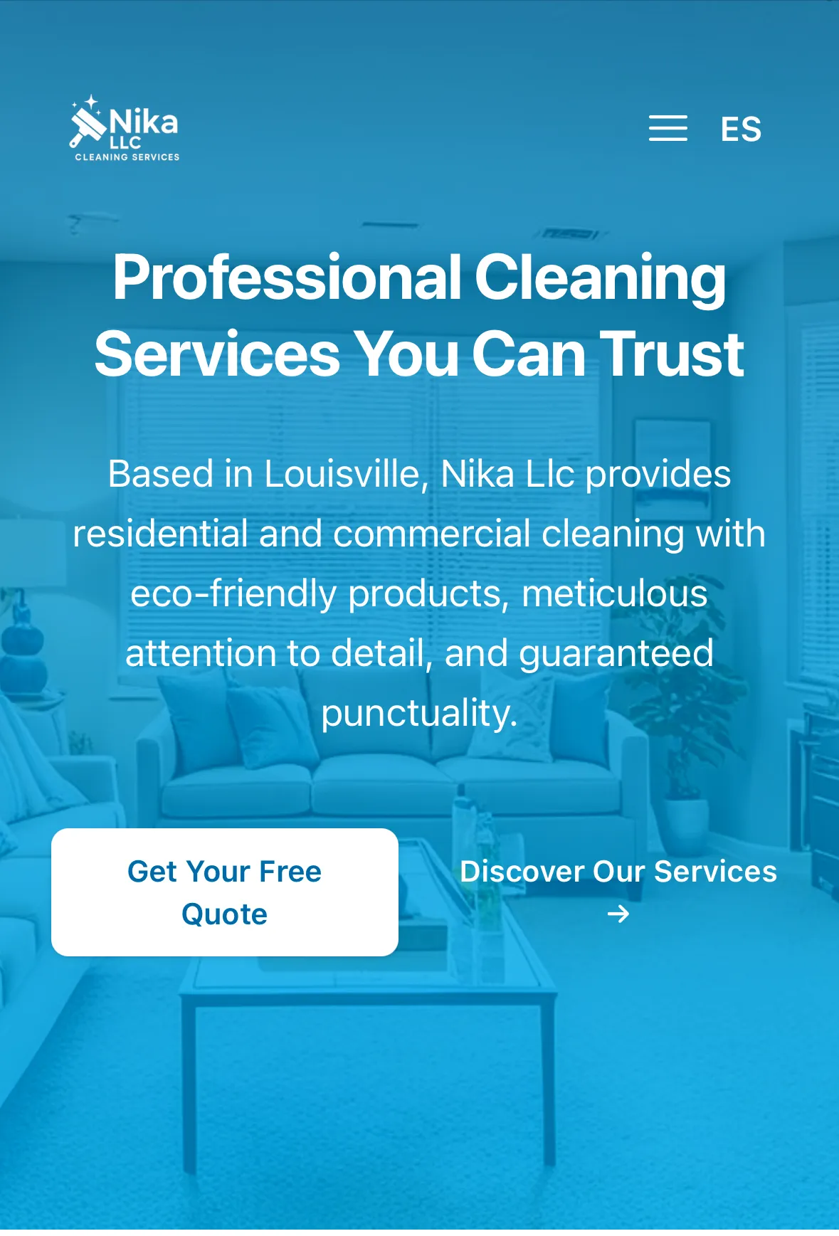 Nika LLC — Website